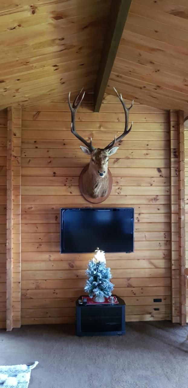 Lakeview Cottage Лейк Текапо Екстериор снимка